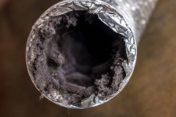 Best Air Duct Cleaning Near Me in Reedsport, OR